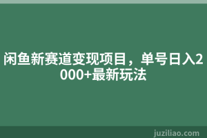闲鱼新赛道变现项目，单号日入2000+最新玩法