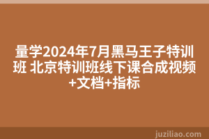 量学2024年7月黑马王子特训班 北京特训班线下课合成视频+文档+指标