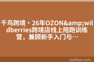 千鸟跨境·26年OZON&wildberries跨境店线上陪跑训练营，兼顾新手入门与…