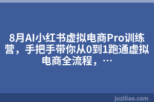 8月AI小红书虚拟电商Pro训练营，手把手带你从0到1跑通虚拟电商全流程，…