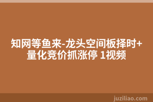 知网等鱼来-龙头空间板择时+量化竞价抓涨停 1视频