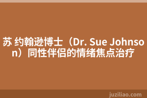 苏 约翰逊博士（Dr. Sue Johnson）同性伴侣的情绪焦点治疗