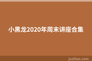 小黑龙2020年周末讲座合集