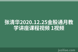 张清华2020.12.25金股通月教学讲座课程视频 1视频