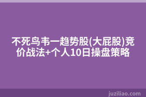 不死鸟韦一趋势股(大屁股)竞价战法+个人10日操盘策略