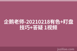 企鹅老师-20210218有色+盯盘技巧+答疑 1视频