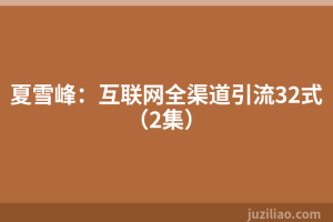 夏雪峰：互联网全渠道引流32式（2集）