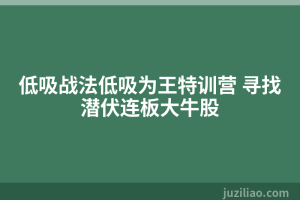 低吸战法低吸为王特训营 寻找潜伏连板大牛股