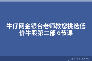 牛仔网金银台老师教您挑选低价牛股第二部 6节课