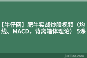 【牛仔网】肥牛实战炒股视频（均线、MACD，背离箱体理论） 5课