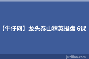【牛仔网】龙头泰山精英操盘 6课