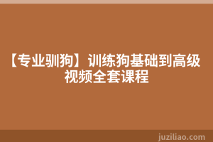 【专业驯狗】训练狗基础到高级视频全套课程