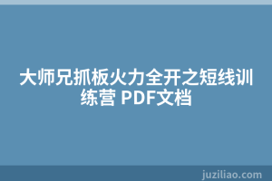 大师兄抓板火力全开之短线训练营 PDF文档