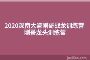 2020深南大盗刚哥战龙训练营 刚哥龙头训练营