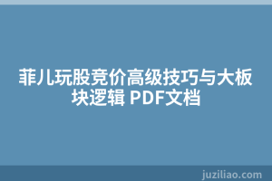 菲儿玩股竞价高级技巧与大板块逻辑 PDF文档