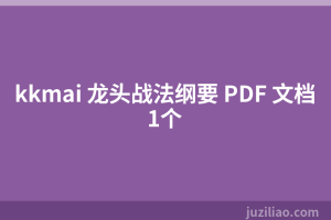 kkmai 龙头战法纲要 PDF 文档1个