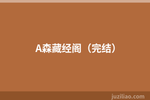 A森藏经阁（完结）