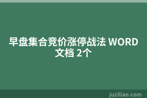 早盘集合竞价涨停战法 WORD文档 2个