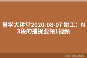 量学大讲堂2020-08-07 姚工：N3段的捕捉要领1视频