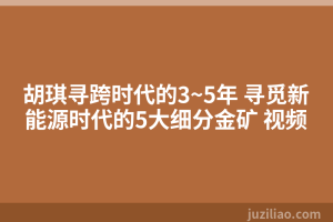 胡琪寻跨时代的3~5年 寻觅新能源时代的5大细分金矿 视频