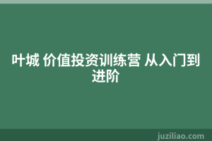 叶城 价值投资训练营 从入门到进阶