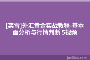 [栾雪]外汇黄金实战教程-基本面分析与行情判断 5视频
