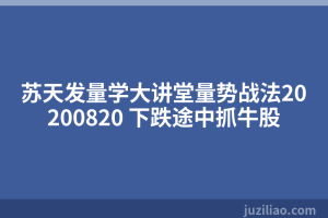 苏天发量学大讲堂量势战法20200820 下跌途中抓牛股