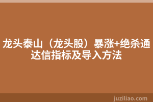 龙头泰山（龙头股）暴涨+绝杀通达信指标及导入方法