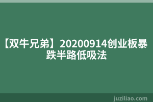 【双牛兄弟】20200914创业板暴跌半路低吸法