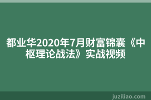 都业华2020年7月财富锦囊《中枢理论战法》实战视频