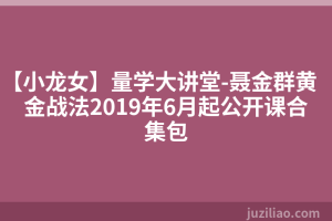 【小龙女】量学大讲堂-聂金群黄金战法2019年6月起公开课合集包