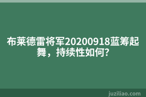 布莱德雷将军20200918蓝筹起舞，持续性如何？