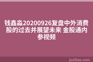 钱鑫淼20200926复盘中外消费股的过去并展望未来 金股通内参视频