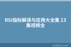 RSI指标解读与应用大全集 13集视频全