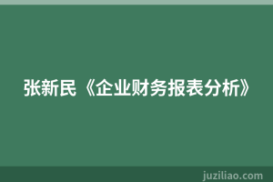 张新民《企业财务报表分析》