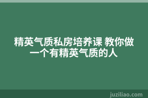 精英气质私房培养课 教你做一个有精英气质的人