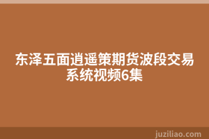 东泽五面逍遥策期货波段交易系统视频6集