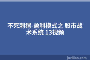 不死刺猬-盈利模式之 股市战术系统 13视频