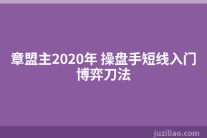 章盟主2020年 操盘手短线入门博弈刀法