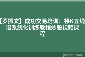 【罗振文】成功交易培训：裸K五线谱系统化训练教程炒股视频课程
