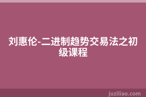 刘惠伦-二进制趋势交易法之初级课程
