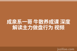 成泉系一哥 牛散养成课 深度解读主力做盘行为 视频