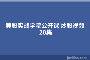 美股实战学院公开课 炒股视频 20集