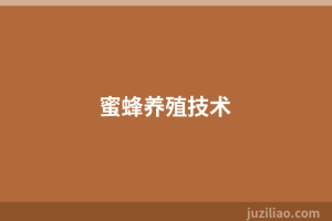 蜜蜂养殖技术