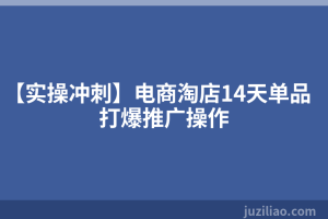 【实操冲刺】电商淘店14天单品打爆推广操作