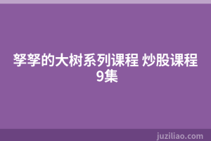 孥孥的大树系列课程 炒股课程 9集