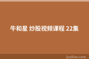 牛和星 炒股视频课程 22集