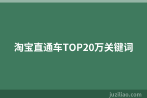 淘宝直通车TOP20万关键词