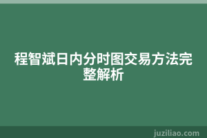 程智斌日内分时图交易方法完整解析