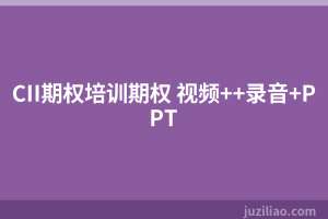 CII期权培训期权 视频++录音+PPT